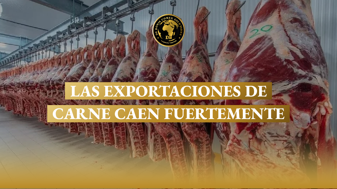 Las exportaciones de carne caen fuertemente
