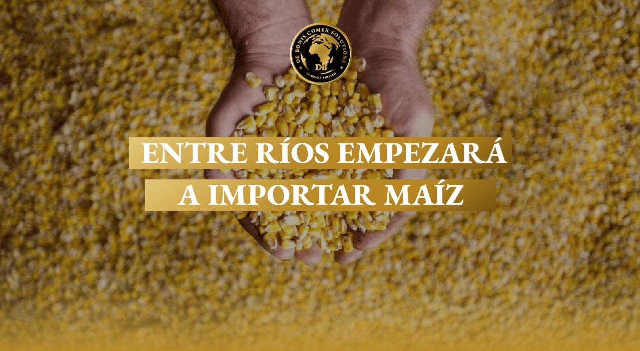 Entre Ríos empezará a importar maíz